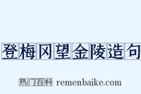 登梅冈望金陵造句是什么意思的图片